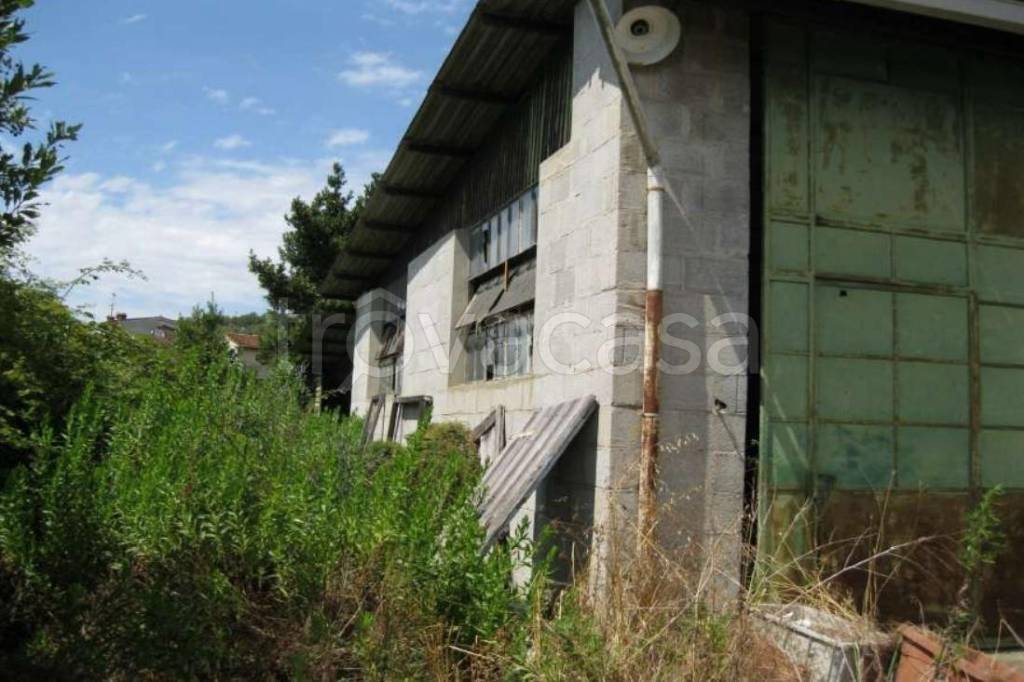 appartamento in vendita a Massarosa