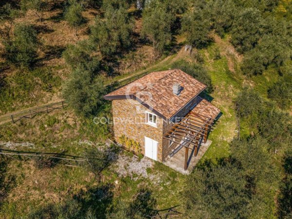 terreno agricolo in vendita a Massarosa in zona Bargecchia
