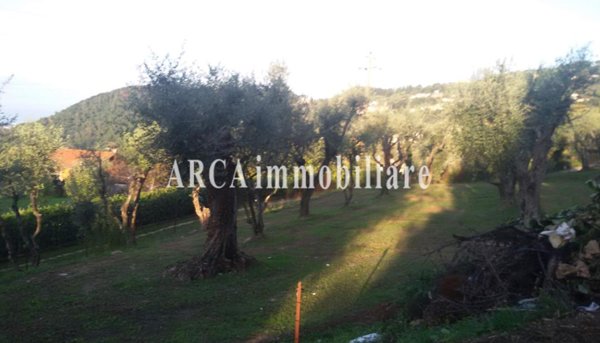 casa indipendente in vendita a Massarosa in zona Bargecchia