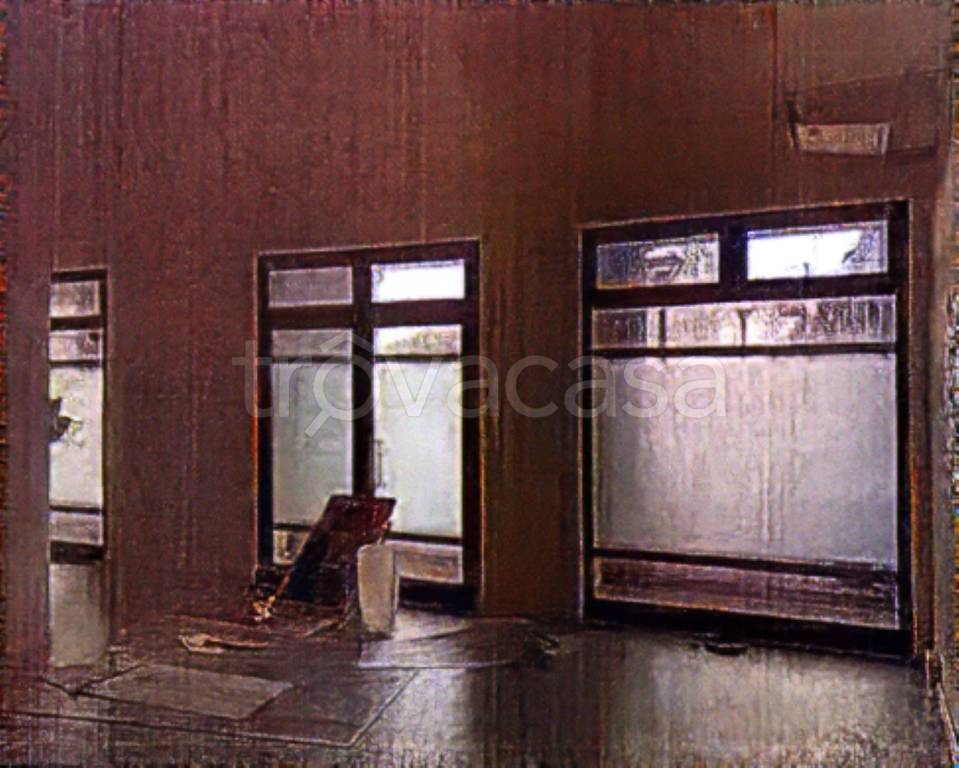 negozio in vendita a Massarosa