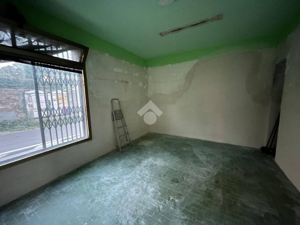 negozio in vendita a Massarosa