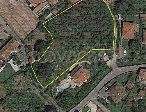 terreno agricolo in vendita a Massarosa in zona Bozzano