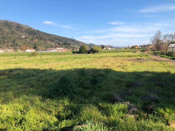 casale in vendita a Massarosa in zona Piano di Mommio