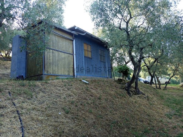 terreno agricolo in vendita a Massarosa