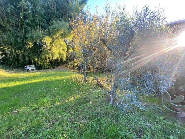 terreno edificabile in vendita a Massarosa