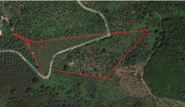 casale in vendita a Massarosa