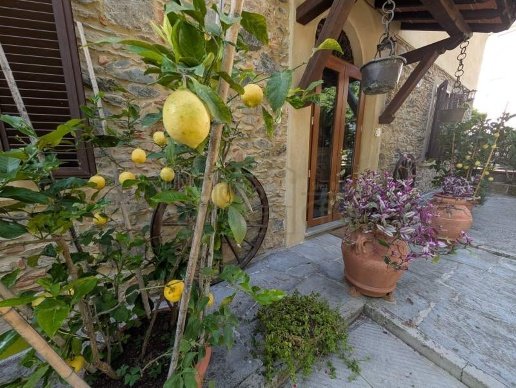 casa indipendente in vendita a Massarosa