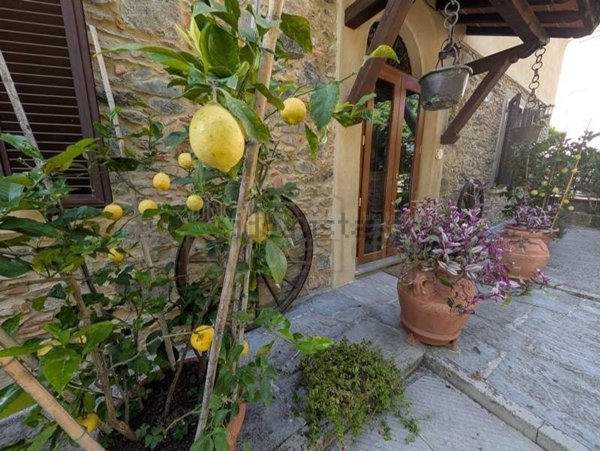 casa indipendente in vendita a Massarosa