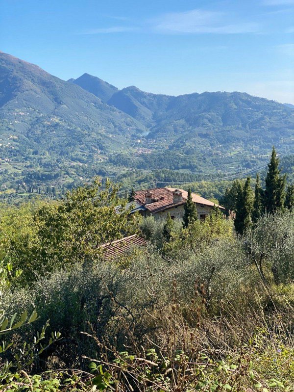 casa indipendente in vendita a Massarosa