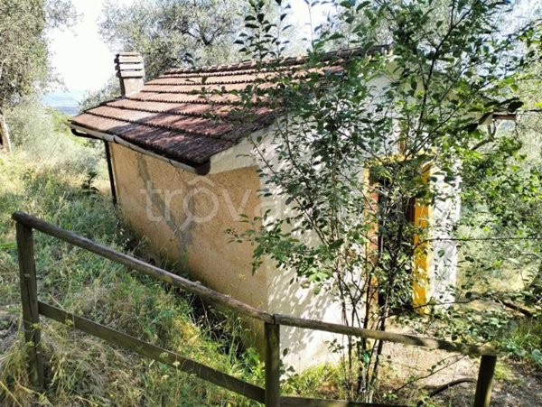 terreno agricolo in vendita a Massarosa