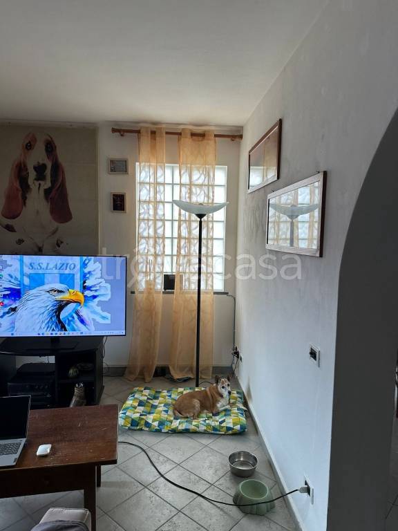 casa indipendente in vendita a Massarosa in zona Quiesa