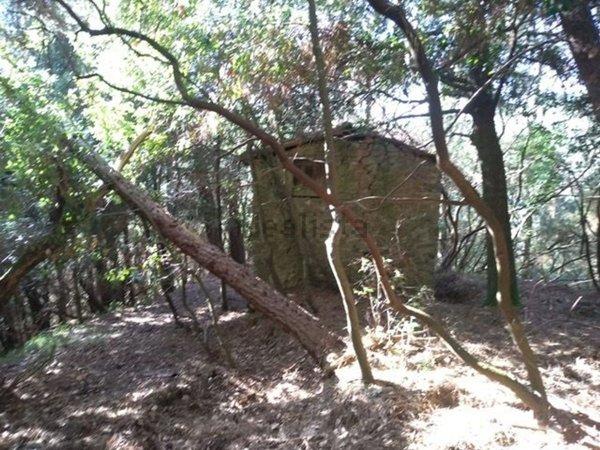 appartamento in vendita a Massarosa