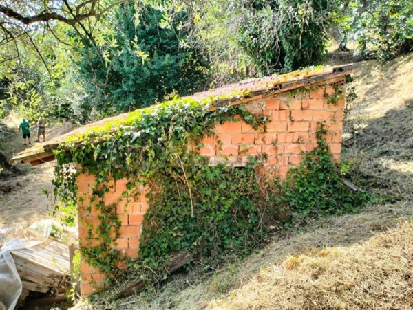 locale di sgombero in vendita a Massarosa