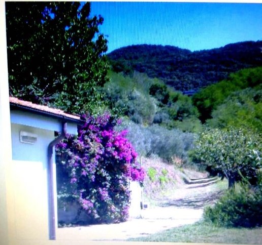 casa indipendente in vendita a Massarosa in zona Bozzano