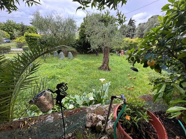 casa indipendente in vendita a Massarosa in zona Massaciuccoli