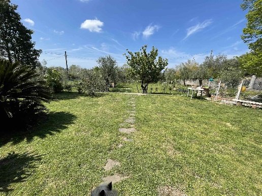casa indipendente in vendita a Massarosa in zona Massaciuccoli