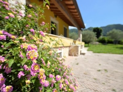 casa indipendente in vendita a Massarosa in zona Stiava