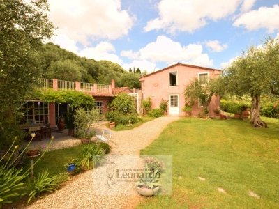 casa indipendente in vendita a Massarosa in zona Bargecchia