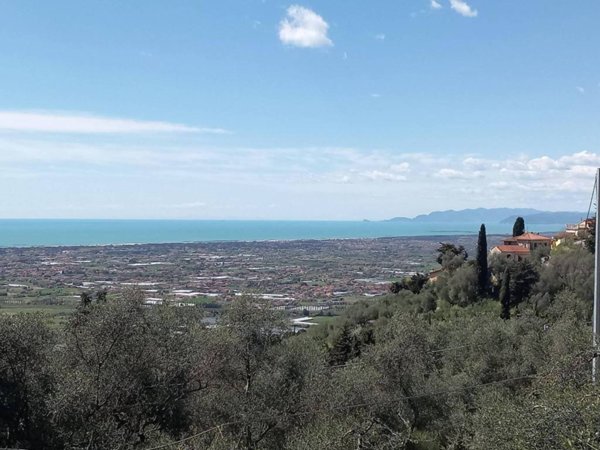 terreno agricolo in vendita a Massarosa in zona Corsanico