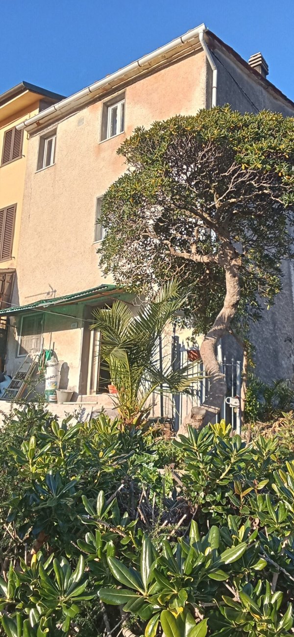 casa indipendente in vendita a Massarosa