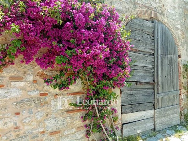casa indipendente in vendita a Massarosa in zona Massaciuccoli