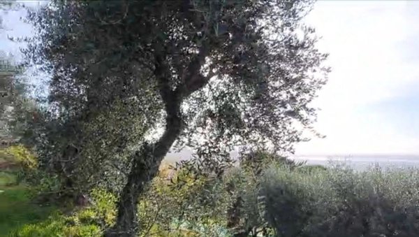 casa indipendente in vendita a Massarosa