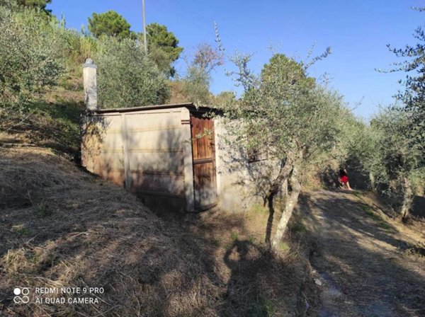 terreno agricolo in vendita a Massarosa in zona Corsanico