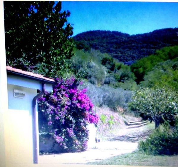 casa indipendente in vendita a Massarosa in zona Bozzano