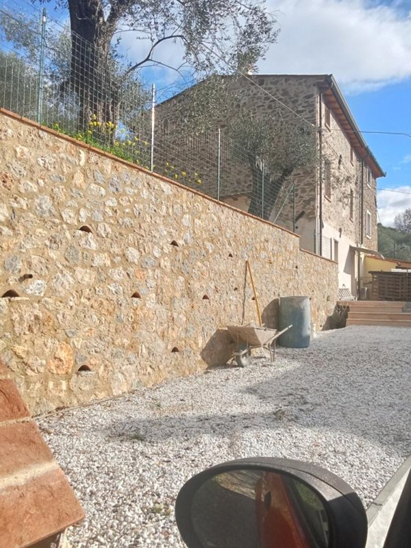 esavano in vendita a Massarosa