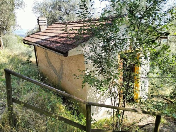 terreno agricolo in vendita a Massarosa in zona Corsanico