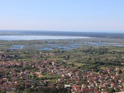 casa indipendente in vendita a Massarosa in zona Massaciuccoli