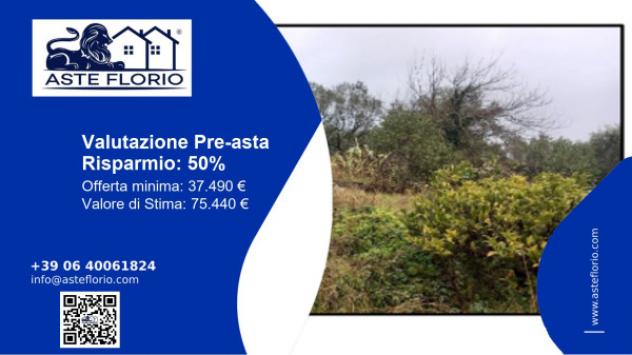 terreno agricolo in vendita a Massarosa in zona Bozzano