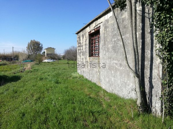 terreno agricolo in vendita a Massarosa