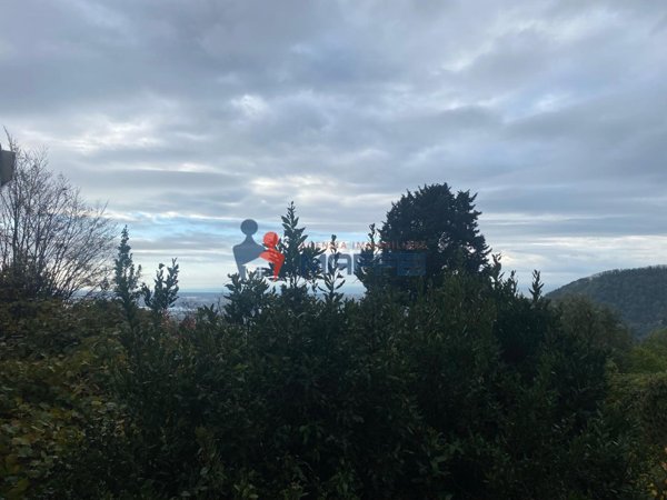 casa indipendente in vendita a Massarosa in zona Corsanico