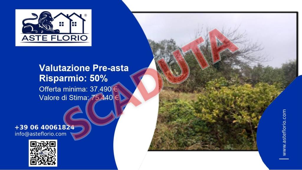 terreno agricolo in vendita a Massarosa in zona Bozzano