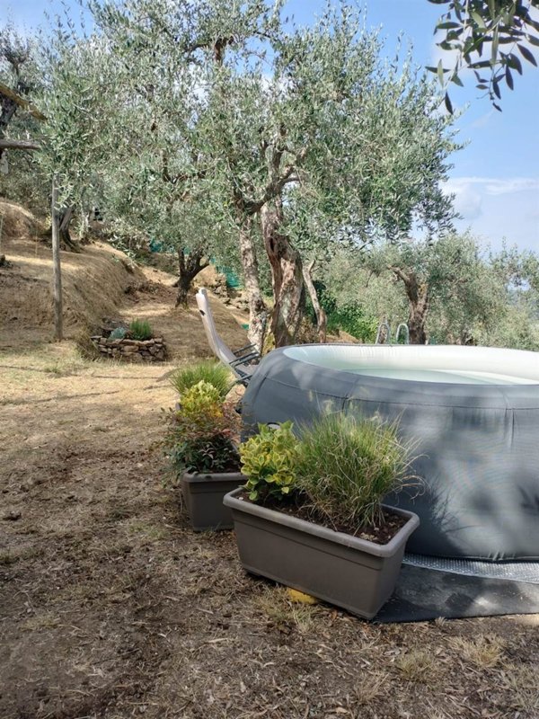 terreno agricolo in vendita a Massarosa in zona Stiava