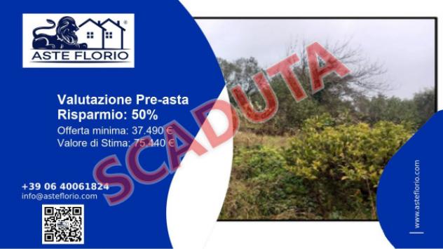 terreno agricolo in vendita a Massarosa in zona Bozzano