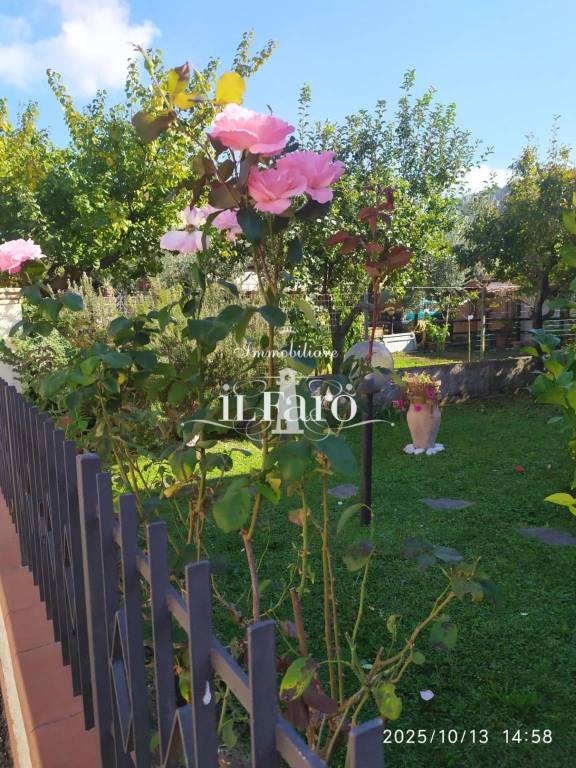 casa indipendente in vendita a Massarosa