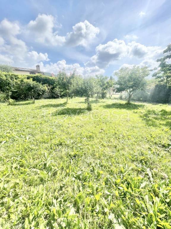 appartamento in vendita a Massarosa in zona Piano del Quercione