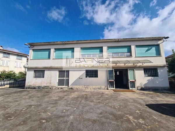 negozio in vendita a Massarosa