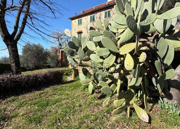 casa indipendente in vendita a Massarosa in zona Piano di Conca