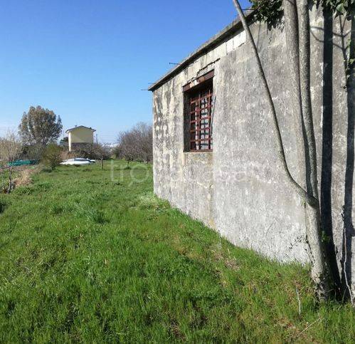 terreno agricolo in vendita a Massarosa