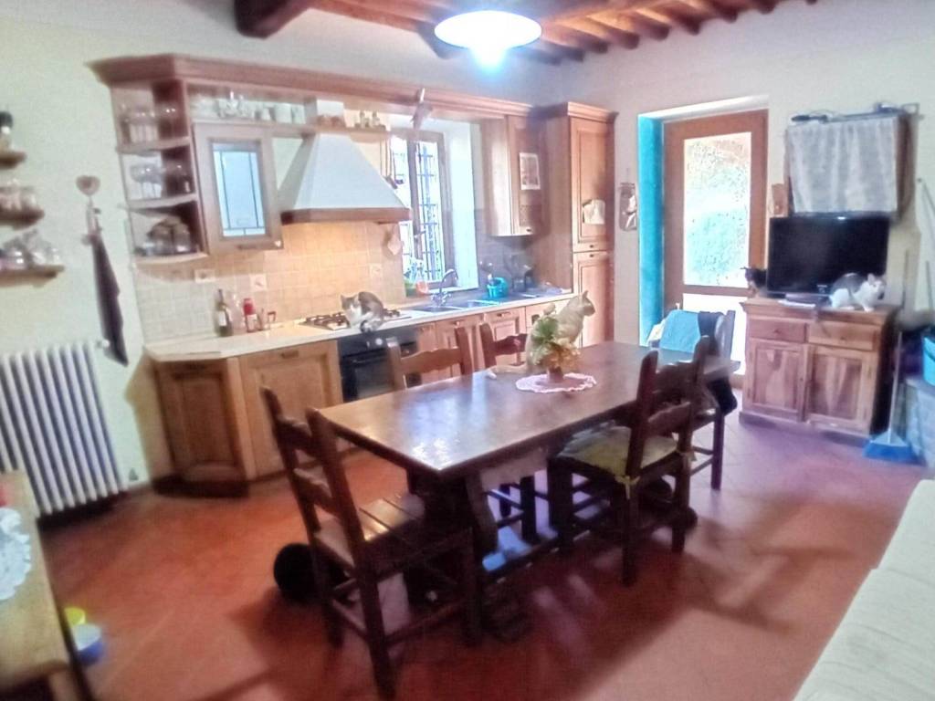 casa indipendente in vendita a Massarosa in zona Bozzano