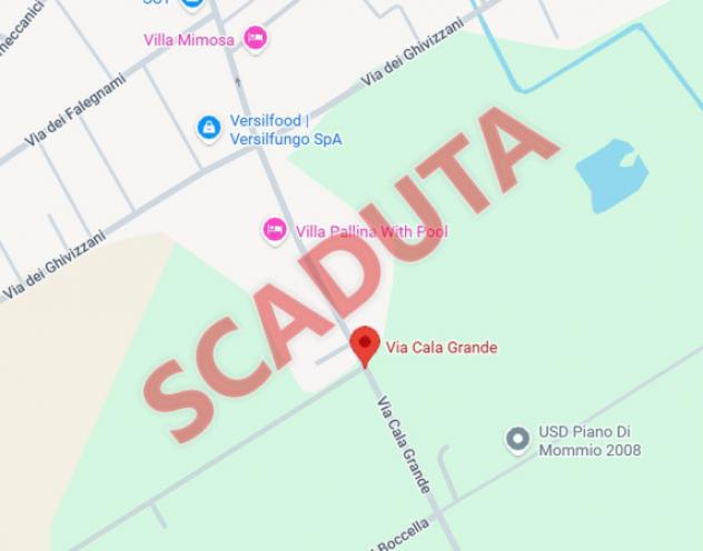 terreno agricolo in vendita a Massarosa