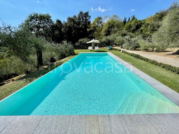 casa indipendente in vendita a Massarosa in zona Massaciuccoli