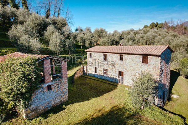 esavano in vendita a Massarosa