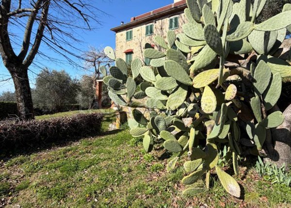 casa indipendente in vendita a Massarosa in zona Piano di Mommio