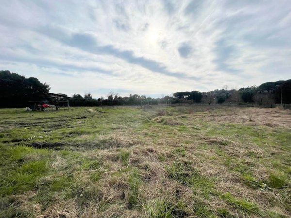 casa indipendente in vendita a Massarosa