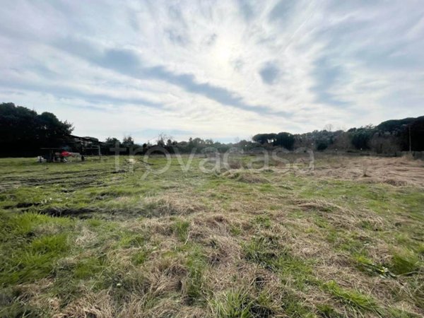 casa indipendente in vendita a Massarosa