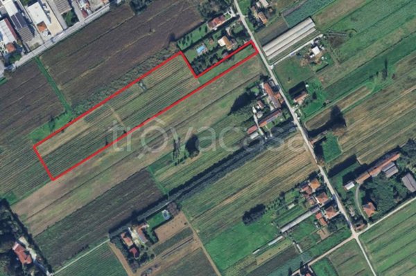 terreno agricolo in vendita a Massarosa in zona Piano di Mommio